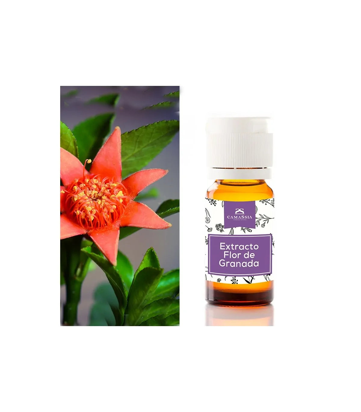 Extracto de flor de granada