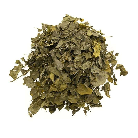 Moringa