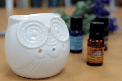 Quemador de aceite en cerámica blanca con diseño de búho corto, ideal para aromatizar espacios con aceites esenciales o ceras perfumadas. Sus detalles calados permiten que la luz de la vela brille creando una atmósfera cálida y relajante. Elegante, funcional y perfecto como regalo o decoración.