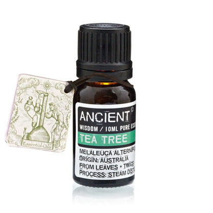 Aceite esencial árbol del té para aromaterapia | Purificante, antibacteriano y respiratorio