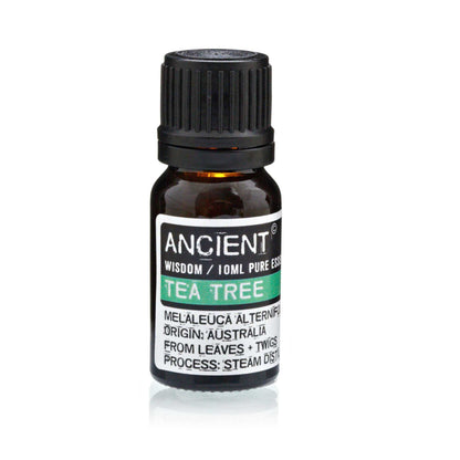 Aceite esencial árbol del té para aromaterapia | Purificante, antibacteriano y respiratorio