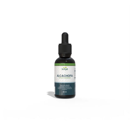 Extracto Glicerinado de Alcachofa | Apoyo Digestivo y Metabolismo de las Grasas