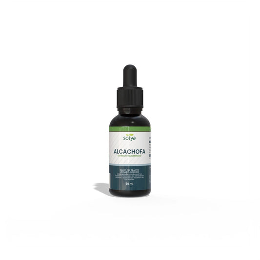 Extracto Glicerinado de Alcachofa | Apoyo Digestivo y Metabolismo de las Grasas