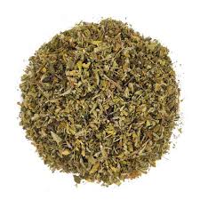Damiana planta