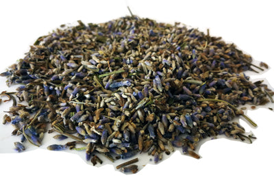 Lavanda planta