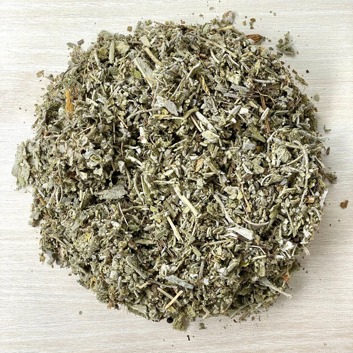 Salvia